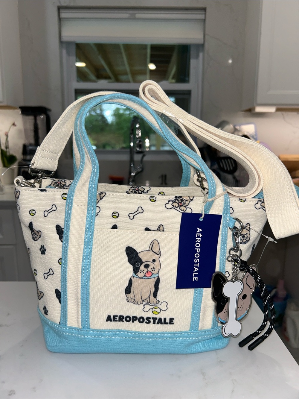 Aeropostale Aero Frenchie French Bulldog Print Canvas Tote Bag NWT